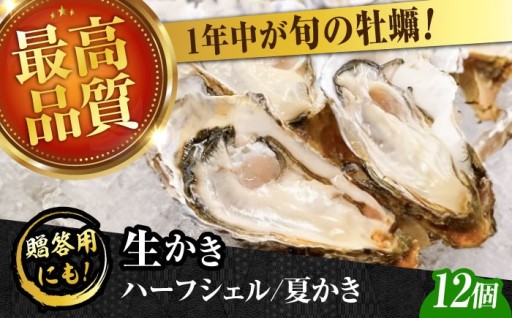 夏でも身がぷりぷり！広島ブランド夏かき🦪