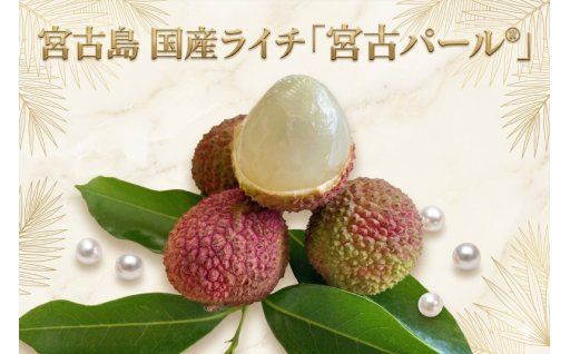 宮古島　国産ライチ 「宮古パール®」（9粒）