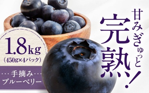 【大人気！先行予約受付中！】 内子産手摘みブルーベリー