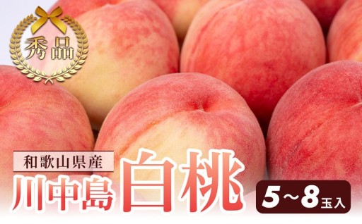 和歌山県産 川中島白桃 5～8玉入り 秀品 先行予約［7月下旬以降発送］