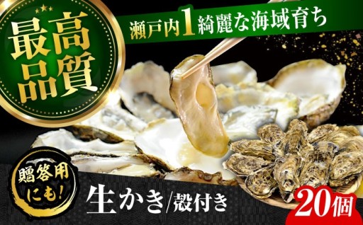 鮮度抜群✨生で味わう極上の殻付き牡蠣🦪