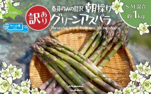 訳あり！まだ間に合う！【春の味覚“”アスパラ”】