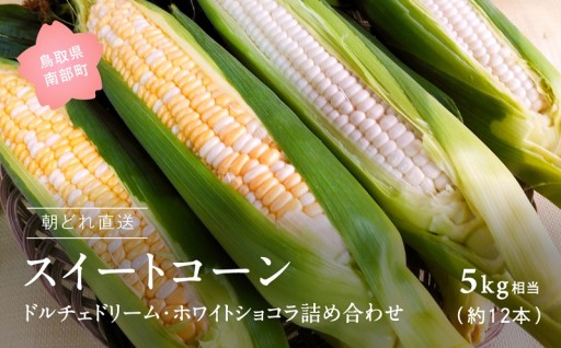「朝どれスイートコーン」早期予約受付中です！