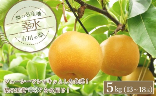 市川の梨 幸水 5kg（13～18玉）
