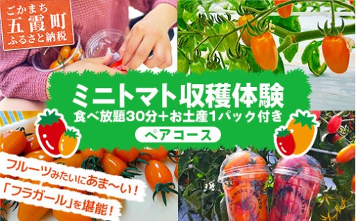 【🍅GWの思い出作りに！🍅】中村さん家のトマト収穫体験【ペアコース】
