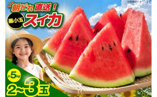 黒小玉スイカ「ひとりじめBonBon」 