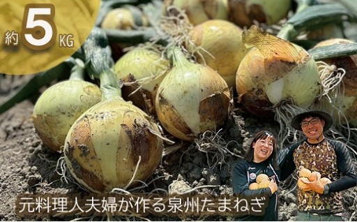 岸上農園 泉州玉ねぎ 約５kg