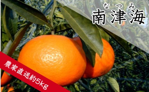 旬の味覚。初夏に味わう、濃厚でジューシーな完熟南津海