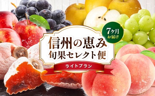 【定期便7回】信州の恵み 旬果 セレクト便 ( ライトプラン )