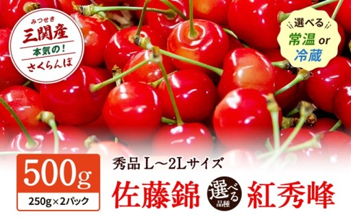 【数量限定】2026年産さくらんぼ受付スタート！🍒
