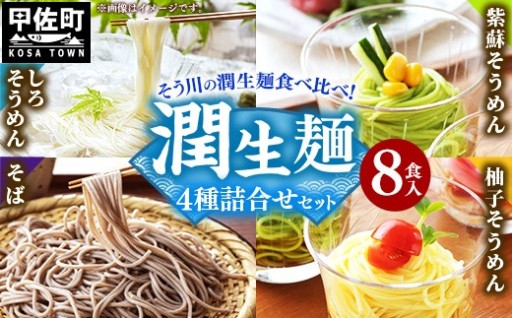 【伝統の技と熟練の職人たちの丁寧な仕事】潤生麺詰合せ（春夏）【計８食】