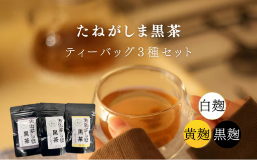 たねがしま オーガニック 黒茶 ティーバッグ 3種 （黒麹・白麹・黄麹)