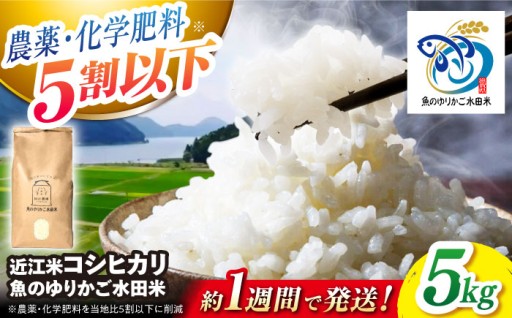 奥琵琶湖の自然と命を育む「魚のゆりかご水田米」