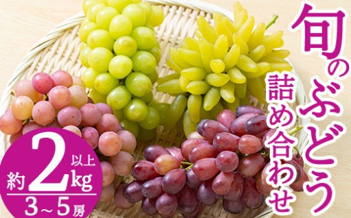 ＜先行予約！2026年8月中旬～9月下旬に発送予定＞旬のぶどう詰め合わせ3～5房(約2kg以上)【さくら農園】