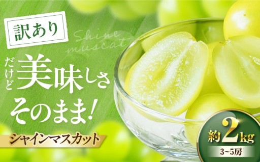 訳あり シャインマスカット 約2kg