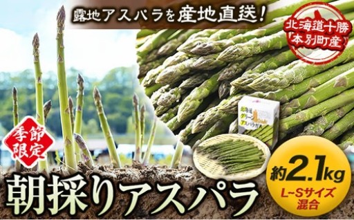 十勝産！朝採り露地アスパラ2kg