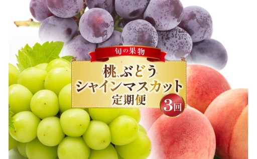 おいしい果物を厳選してお届け！フルーツ定期便