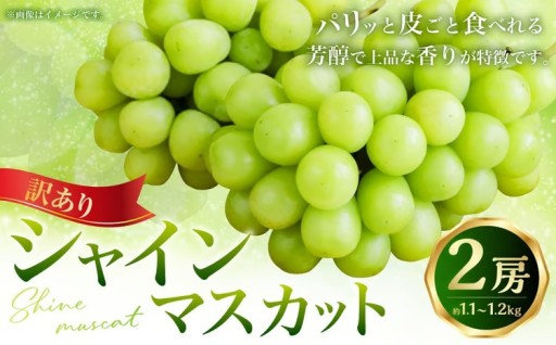 （訳あり） シャインマスカット 2房 約1.1～1.2kg