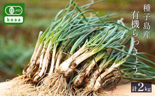  種子島 有機 JAS 根つき 生らっきょう　2kg