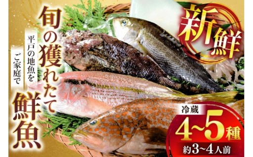 獲れたて直送！旬の平戸地魚をご家庭で！