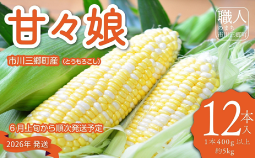市川三郷町大塚の甘々娘（とうもろこし）12本入り