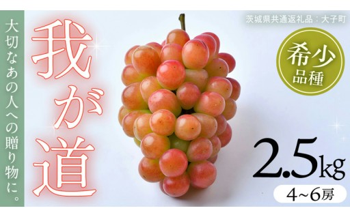 ＼先行予約スタート！／ 希少品種🍇我が道 2.5kg (4～6房)	