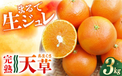 極上のなめらか食感！溢れる果汁と濃厚な甘みの天草