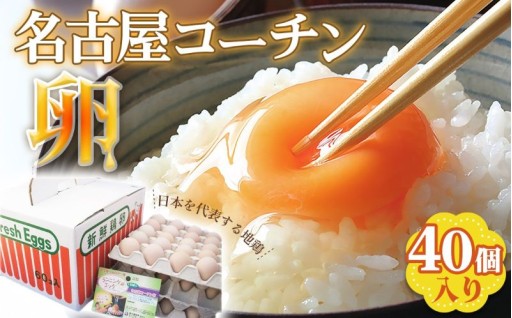 日本を代表する地鶏🥚名古屋コーチン卵🥚40個入