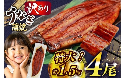 ふっくら肉厚！うなぎ蒲焼き