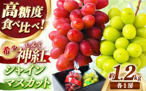 ＜足立ぶどう園＞島根県オリジナルぶどう「神紅」・シャインマスカット詰合せ（約1.2㎏）
