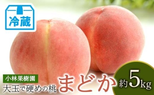 【2026年出荷分先行予約】<冷蔵配送>福島県産 まどか 約5kg (14~20玉)