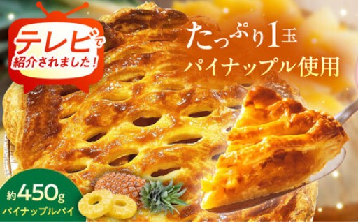 【TVで紹介！】沖縄県産パインが主役の特製パイ