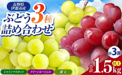 ぶどう３種食べ比べセット（約1.5kg）