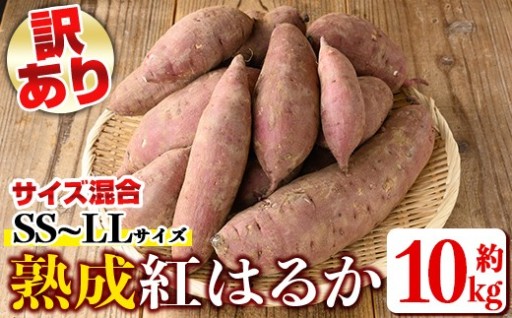  《訳あり》熟成紅はるか(約10kg・SS～LLサイズ混合)
