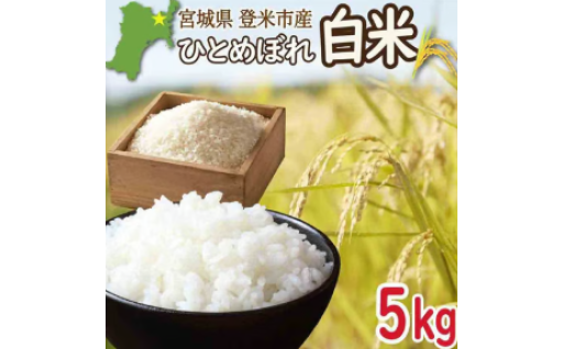 ≪令和7年産≫ 宮城県登米市産 ひとめぼれ 5kg