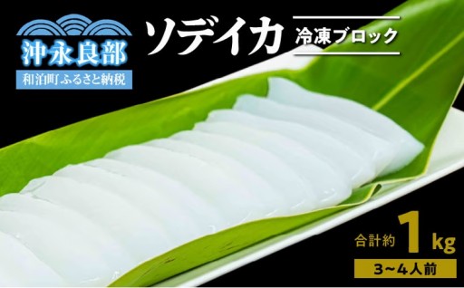 南国の海で育ったソデイカ冷凍ブロック1キロ 🦑