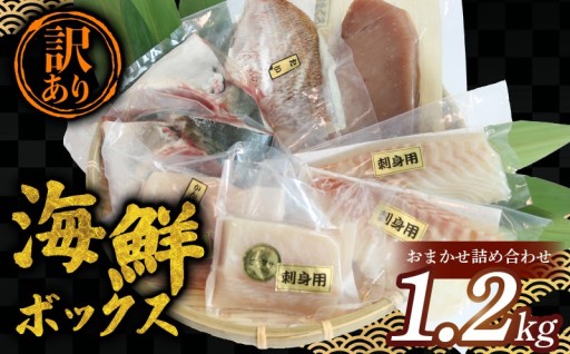 訳あり 海鮮ボックス 1.2kg セット