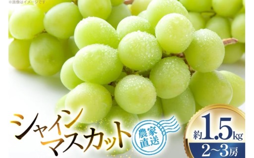 高級ぶどう代表格のシャインマスカット