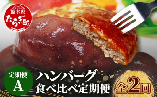【定期便2回】 人気ハンバーグ食べ比べ定期便 A