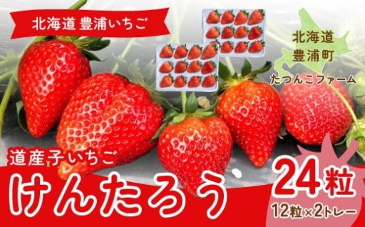 北海道いちご けんたろう 30g以上×12粒 2トレー（24粒）