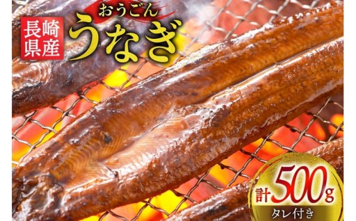 海水育ちの希少うなぎ「おうごんうなぎ」