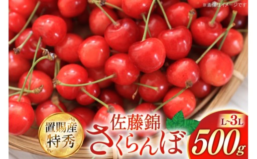 さくらんぼの代名詞ともいえる人気品種「佐藤錦」