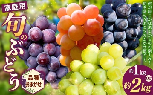 【先行予約】【選べる内容量】ご自宅用船坂ぶどう 1kg / 2kg