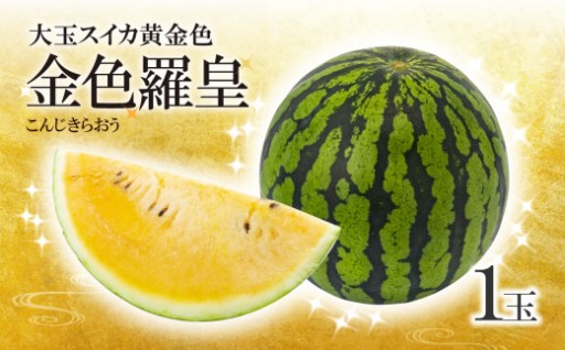 【 先行予約 】 大玉スイカ 黄金色 金色羅皇 1玉