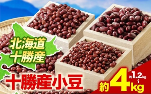 【令和7年産】十勝本別町の絶品豆！選べる4種