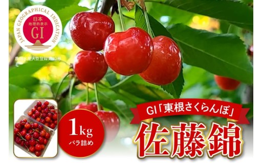 【山形県東根市】🍒数量限定🍒GI「東根さくらんぼ」佐藤錦 1kgバラ詰め  みのる果樹園提供