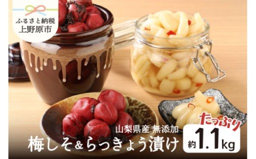 【山梨県産】手作り梅しそ漬け＆らっきょう漬け