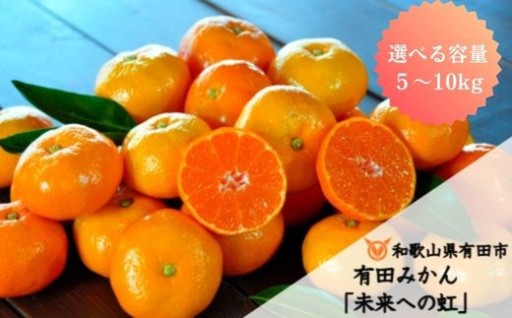 歴史と想いが詰まった人気の有田みかん10kg！