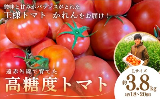 遠赤外線で育てた高糖度トマト