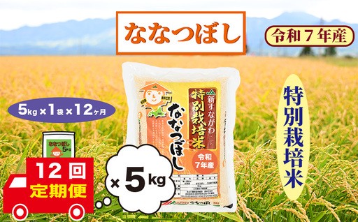 【北海道産 ななつぼし】お米の定期便全12回が復活！！！